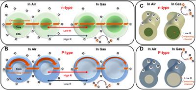 Electronic nose based on multiple electrospinning nanofibers sensor array and application in gas classification